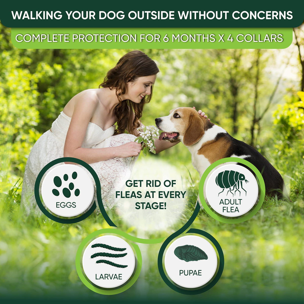 Adjustable Flea and Tick Prevention Dog Collar J348