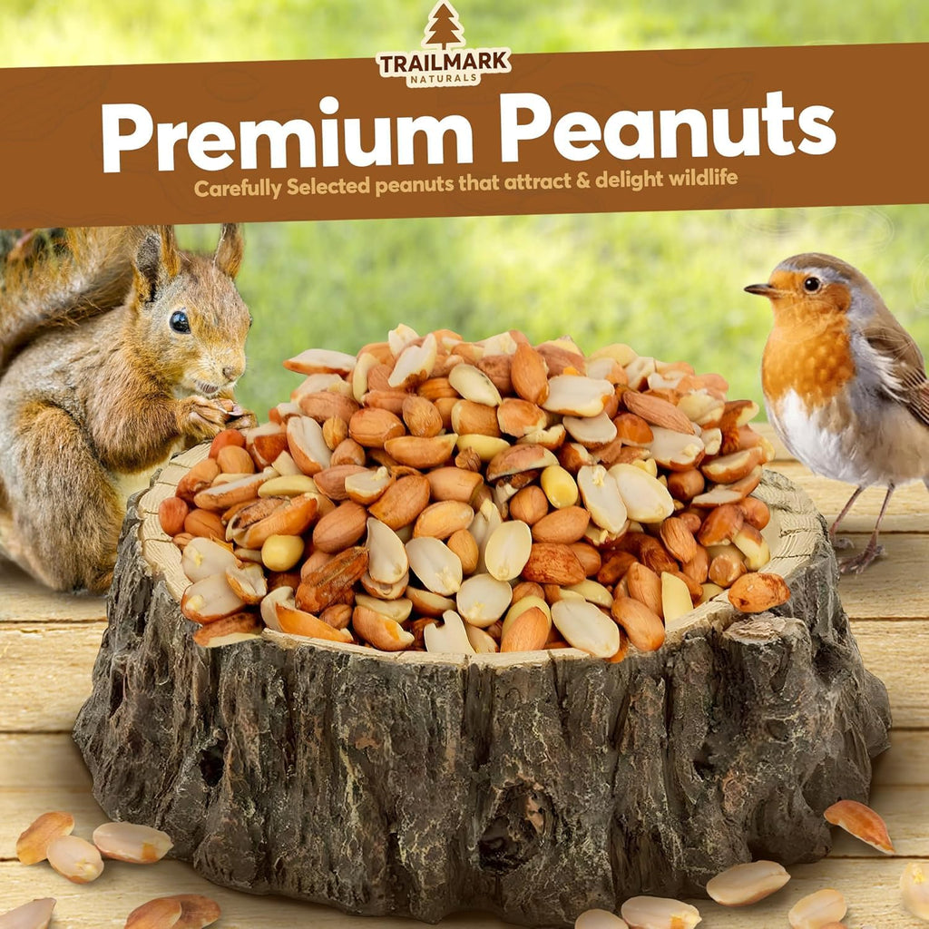 Raw Shelled Peanuts O20390