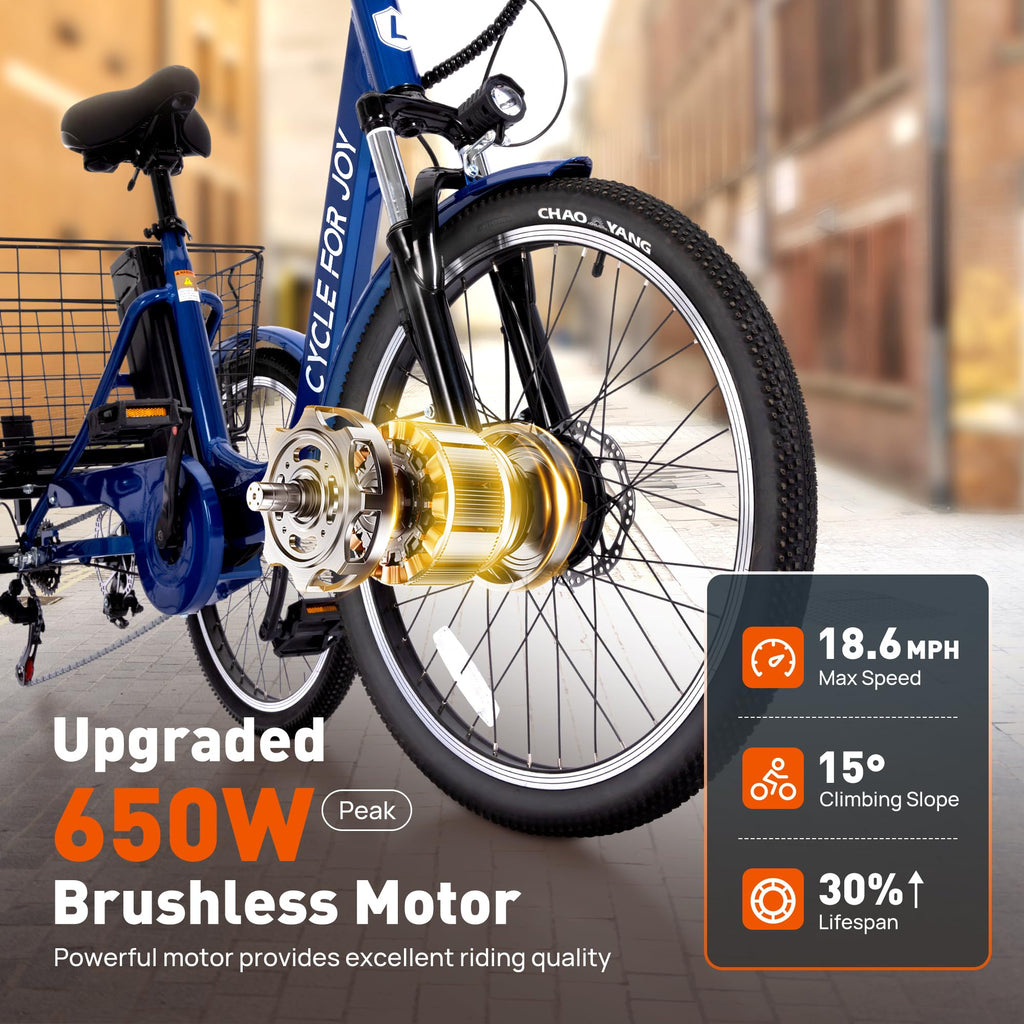 3 Wheel Electric Tricycle E14746