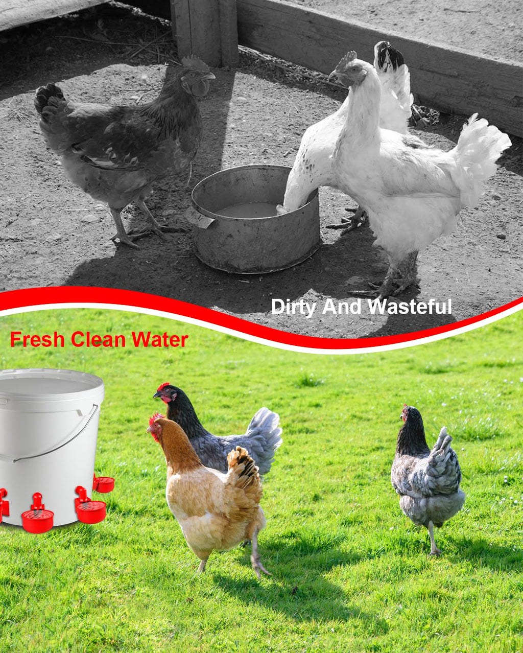 30 Packs Large Automatic Poultry Water Feeder Cups with Tee Fittings N7102