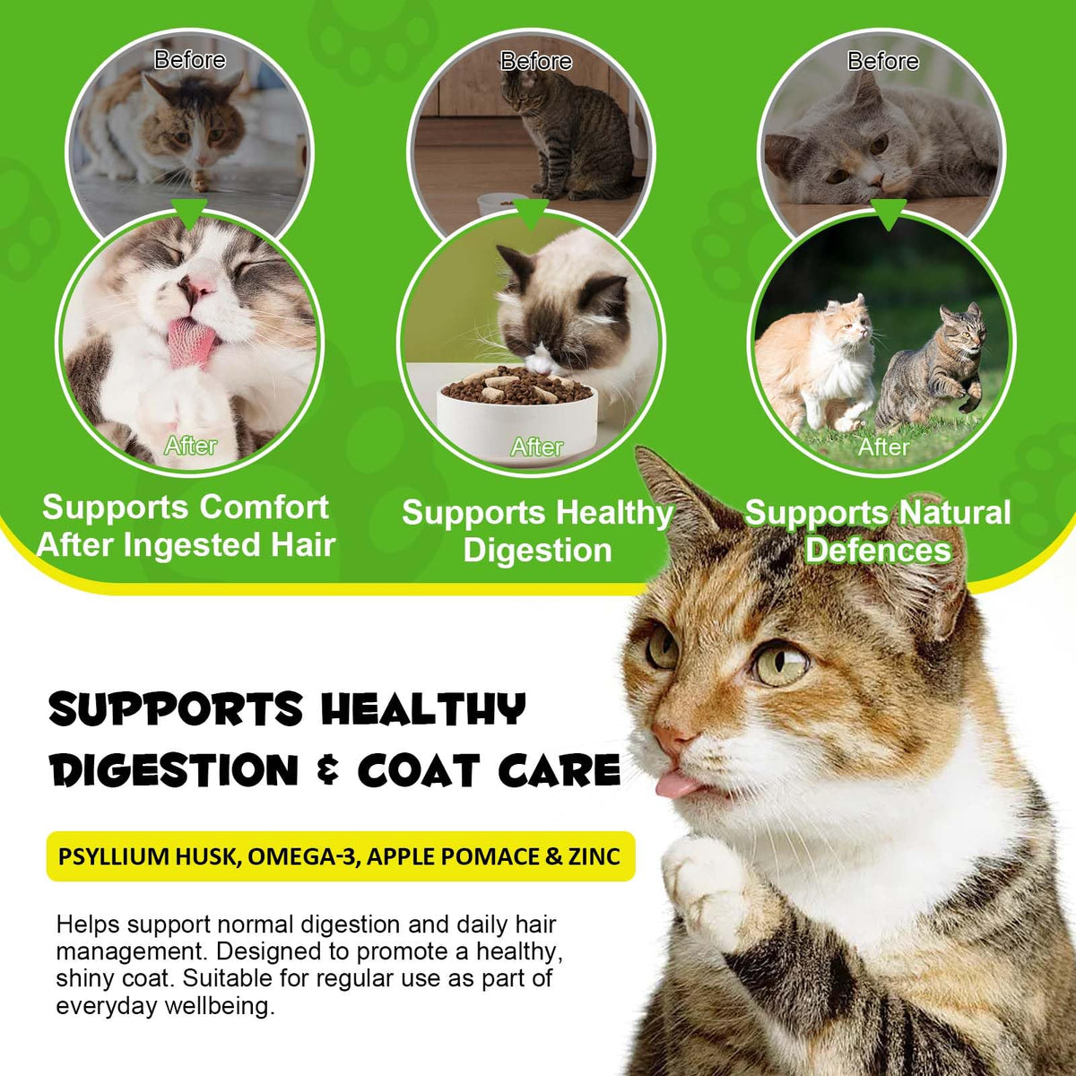 Chicken Omega-3 Fiber Supplement for Cats N7523