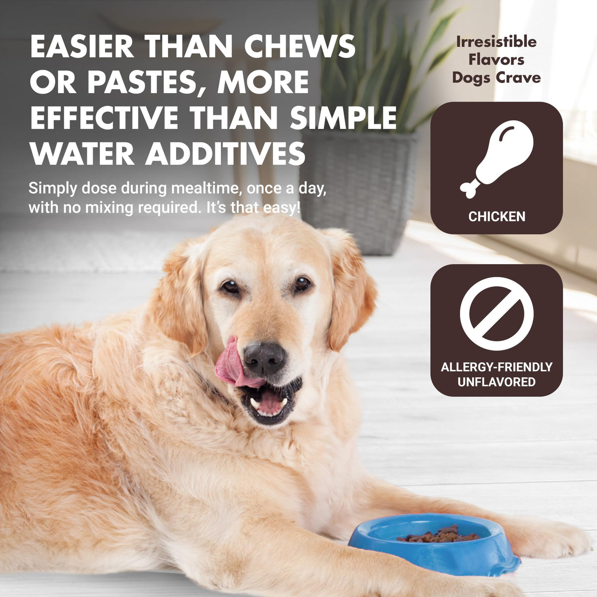 10-in-1 Dog Support 32 oz Unflavored S893360