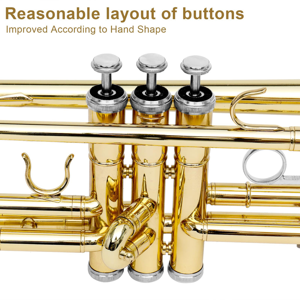 Bb Standard Trumpet Set V12653
