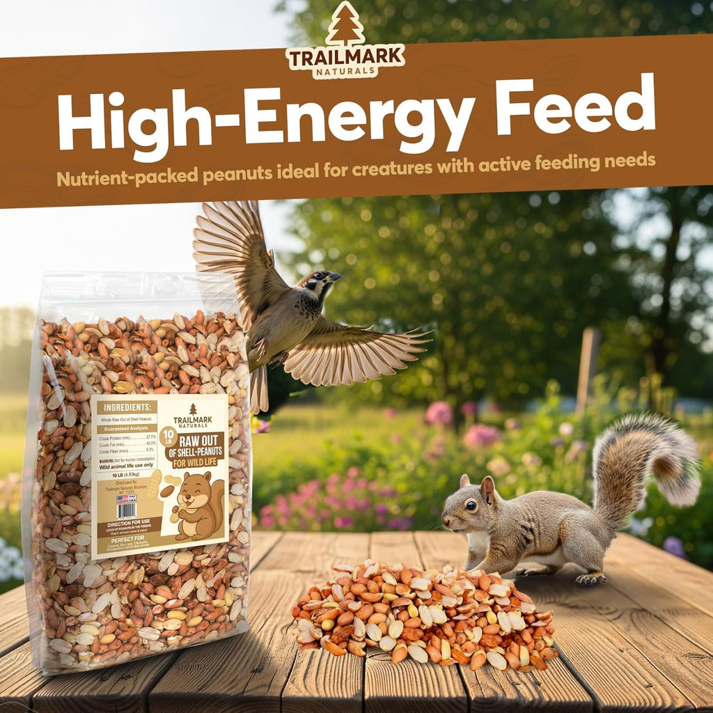 Raw Shelled Peanuts O20390