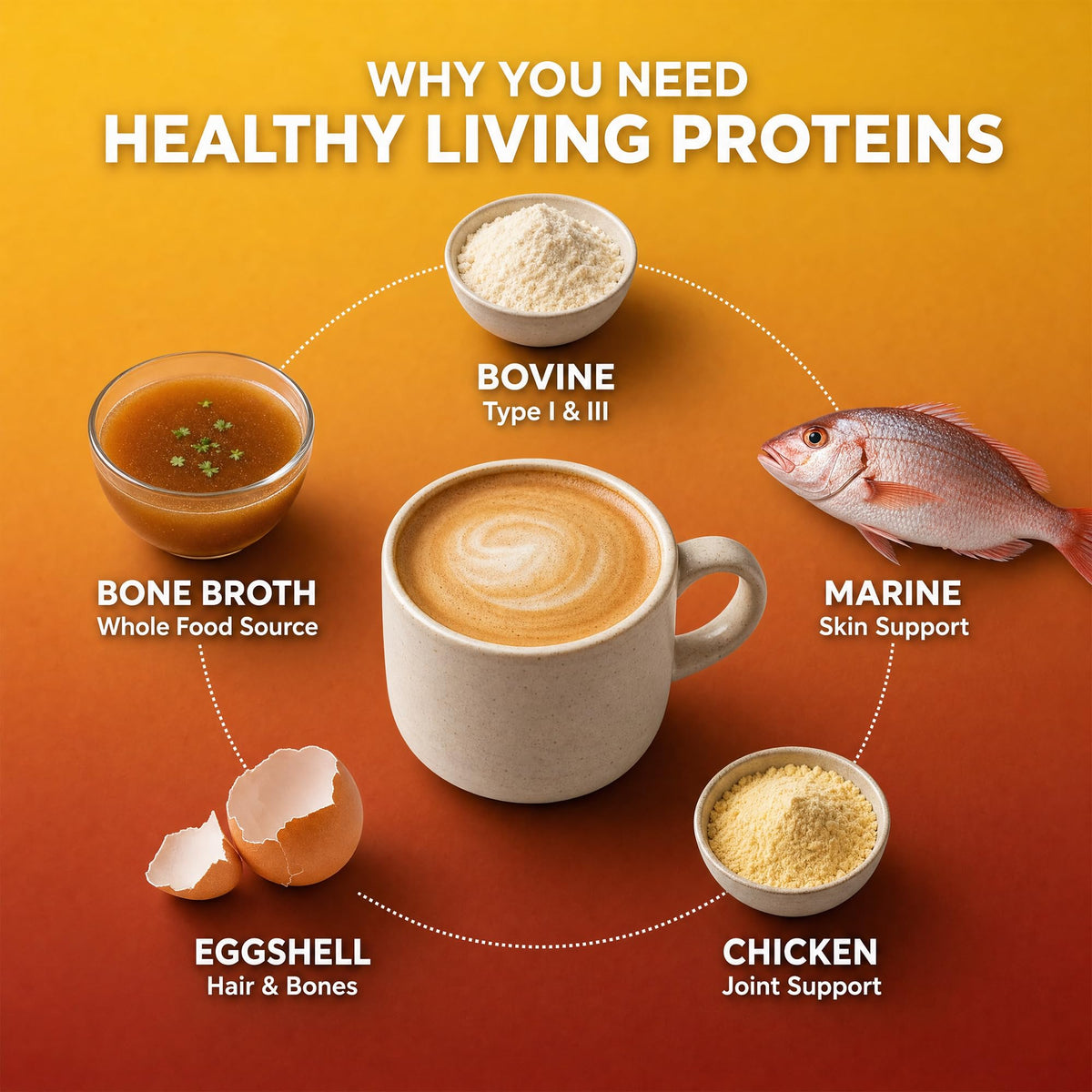Multi Hydrolyzed Collagen Peptides Type I, II, III, V, & X Grass Fed Bovine Wild Caught Marine Free Range Chicken Gluten Free Unflavored 1 Pound Q92927
