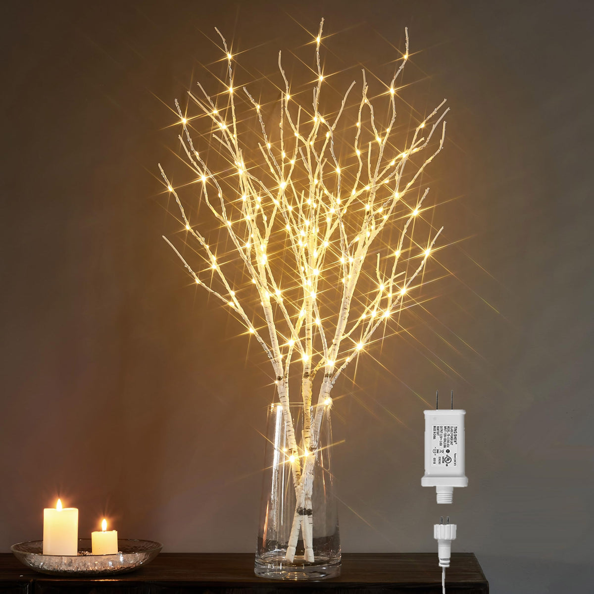 Lighted White Birch Twig Branches 30IN 150 LED with Timer and Dimmer O893