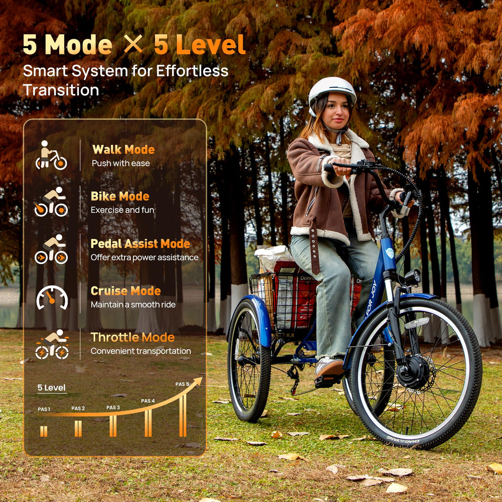3 Wheel Electric Tricycle E14746