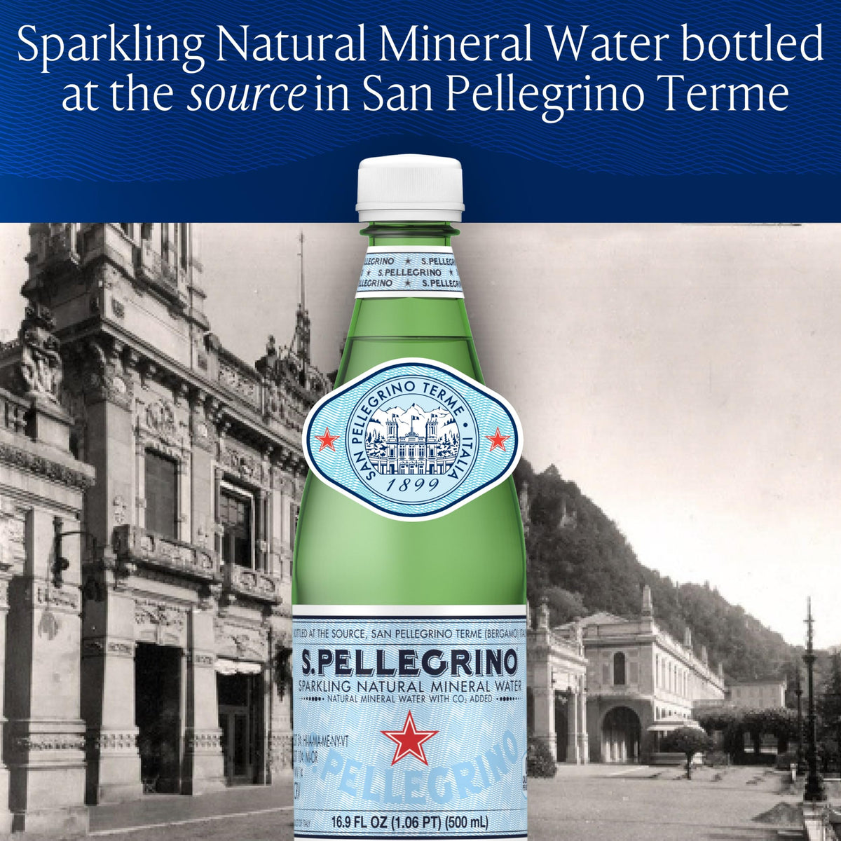 Sparkling Natural Mineral Water 16.9 Fl Oz Pack of 12 H972034