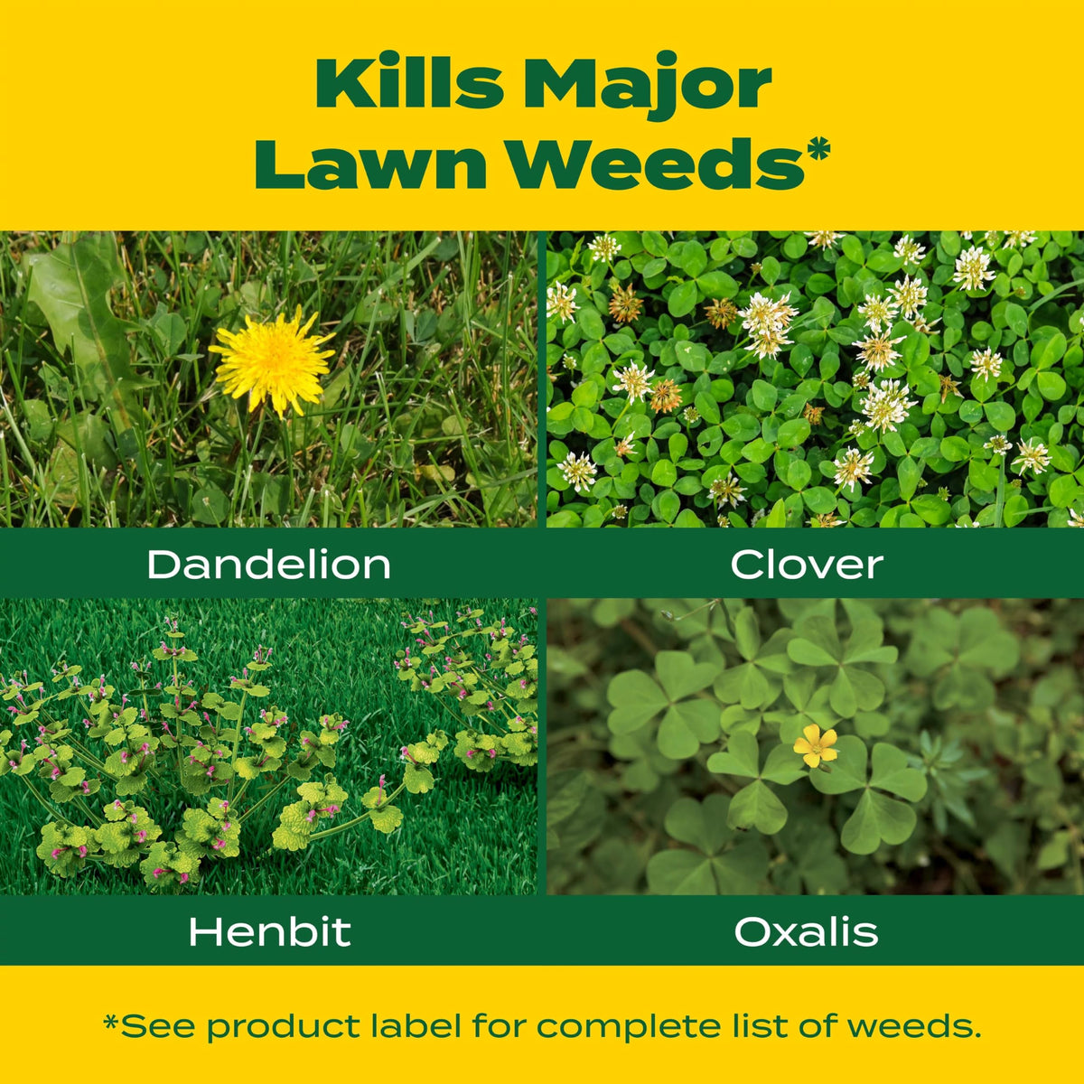 Liquid Turf Builder Plus 2 Weed Control 32 fl. oz. S731